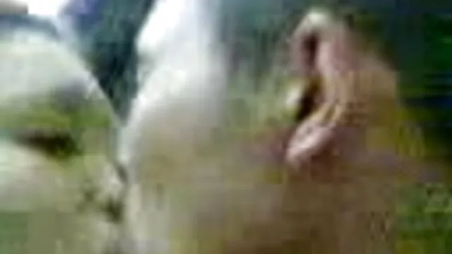 Beauté blonde avec video sexe streaming gratuit un homme plus âgé
